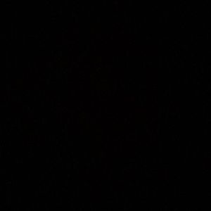 Meet your Posher, Lola